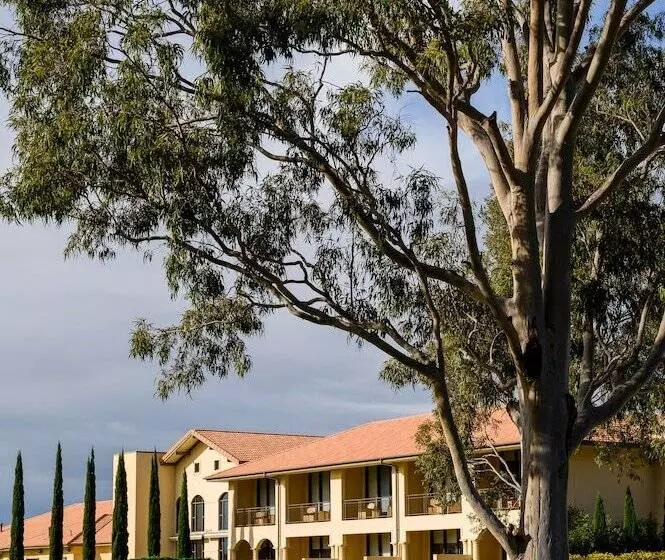 酒店 Chateau Elan At The Vintage