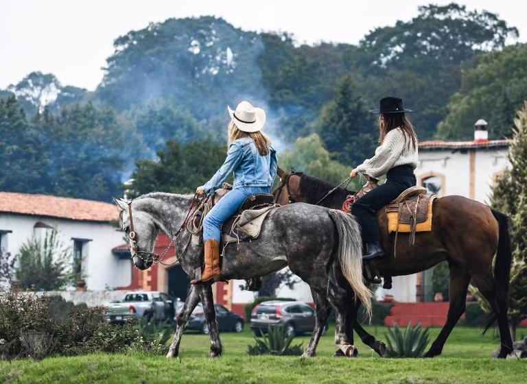 فندق Hacienda De La Luz