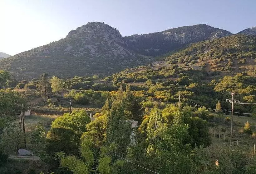 Отель Hani Zemenou