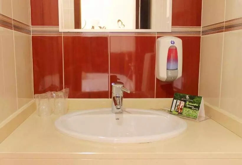 هتل Livvo Don Paco