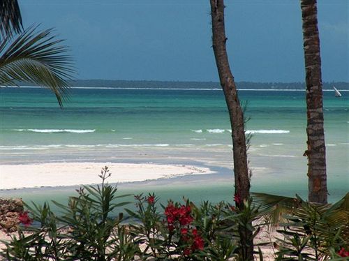 酒店 Jaz Amaluna Beach Resort Adults Only 16+