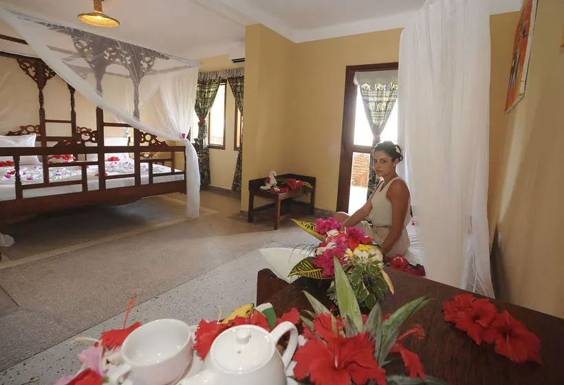 酒店 Jaz Amaluna Beach Resort Adults Only 16+