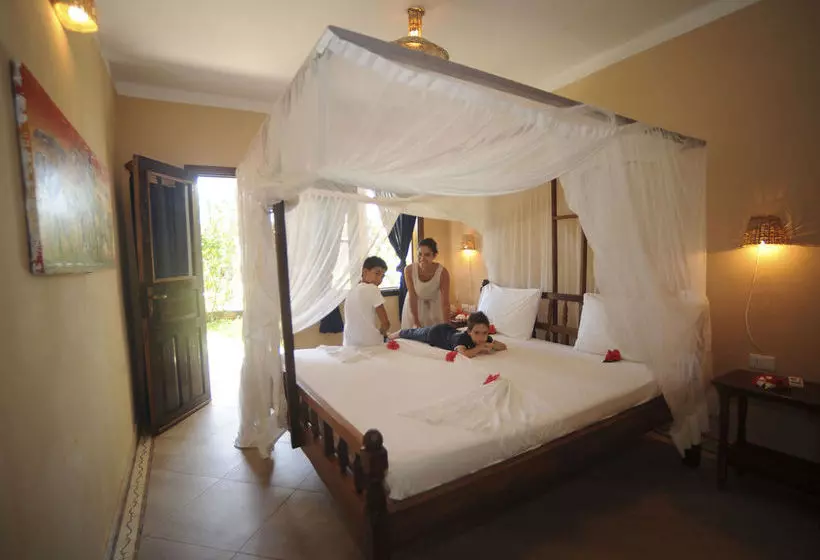 酒店 Jaz Amaluna Beach Resort Adults Only 16+