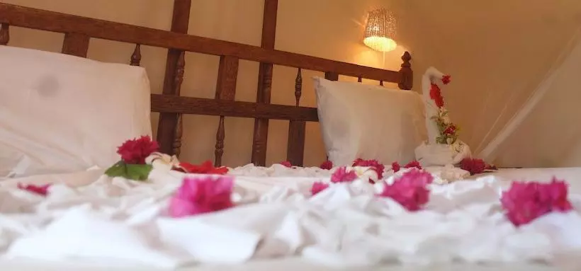 酒店 Jaz Amaluna Beach Resort Adults Only 16+