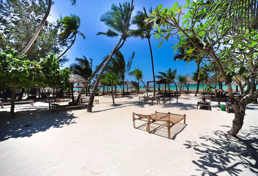 酒店 Jaz Amaluna Beach Resort Adults Only 16+