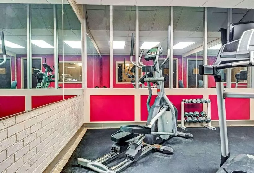 בית מלון כפרי Homespring Inn & Studios