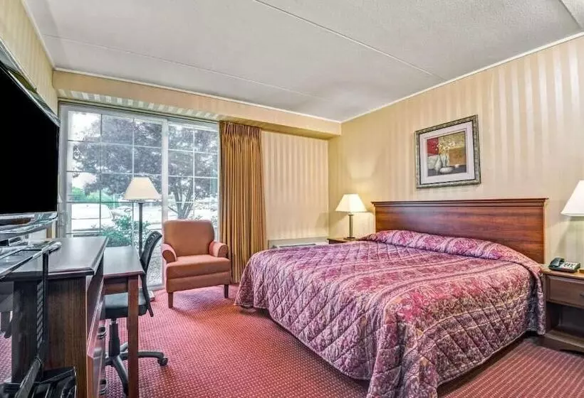 בית מלון כפרי Homespring Inn & Studios