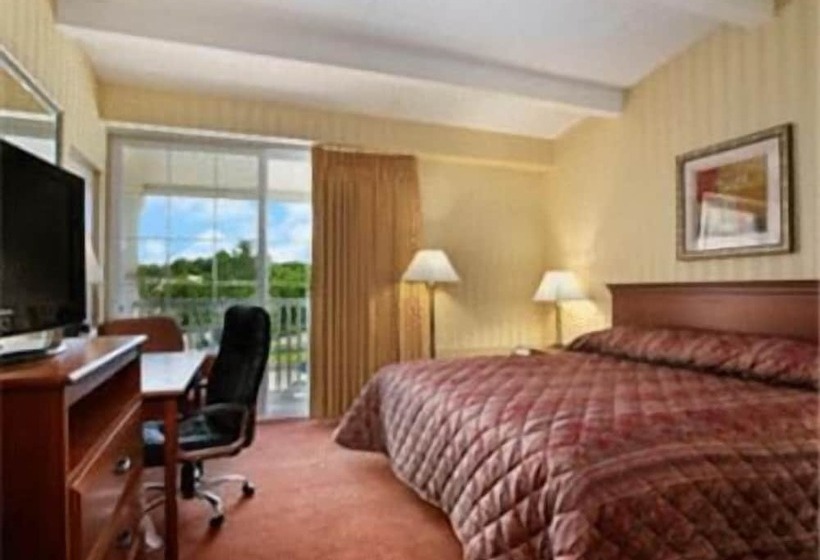 酒店 Homespring Inn & Studios