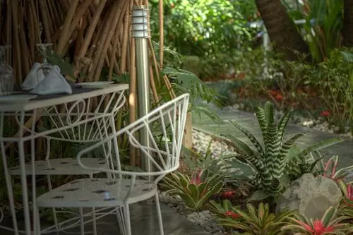 Otel The Vip Caracas