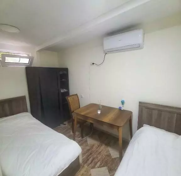 هاستل Green Palma