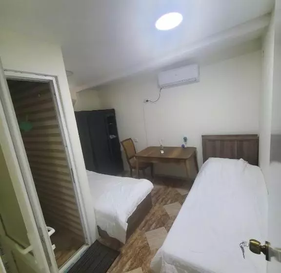 هاستل Green Palma