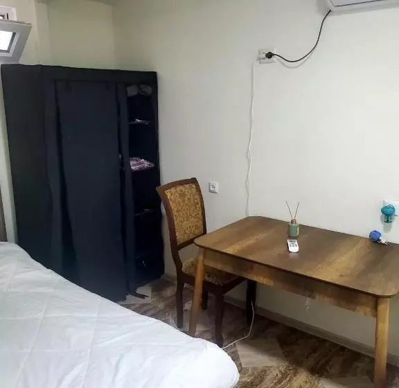 هاستل Green Palma