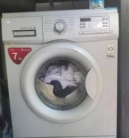 هاستل Green Palma