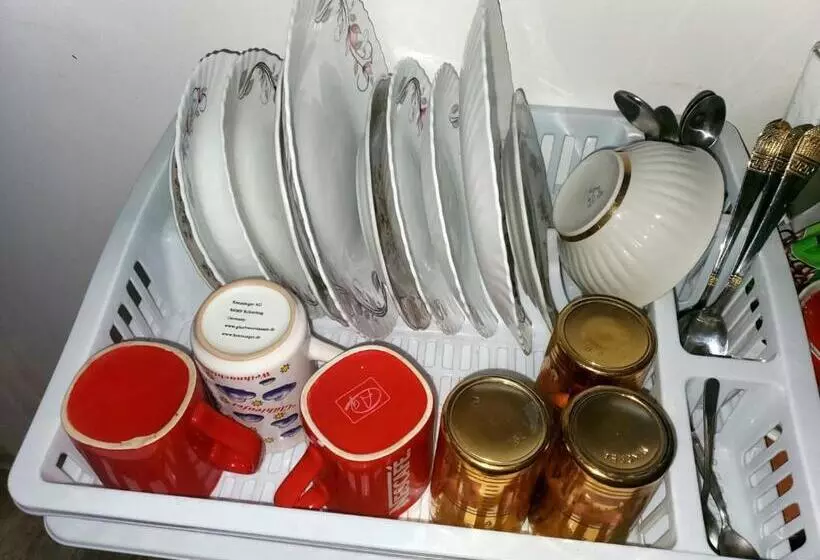 هاستل Green Palma