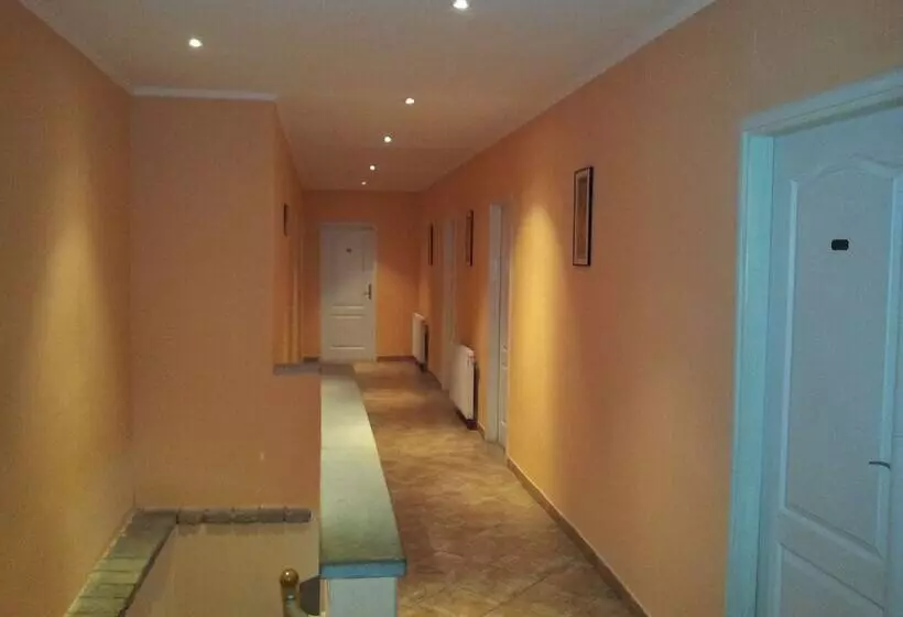 مسافرخانه Pension City Center