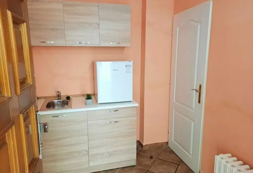 مسافرخانه Pension City Center