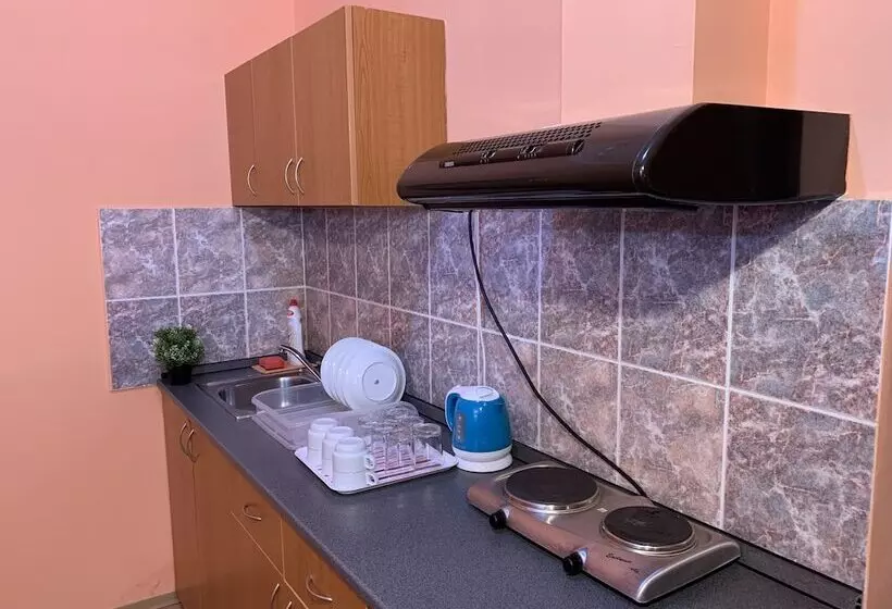 مسافرخانه Pension City Center