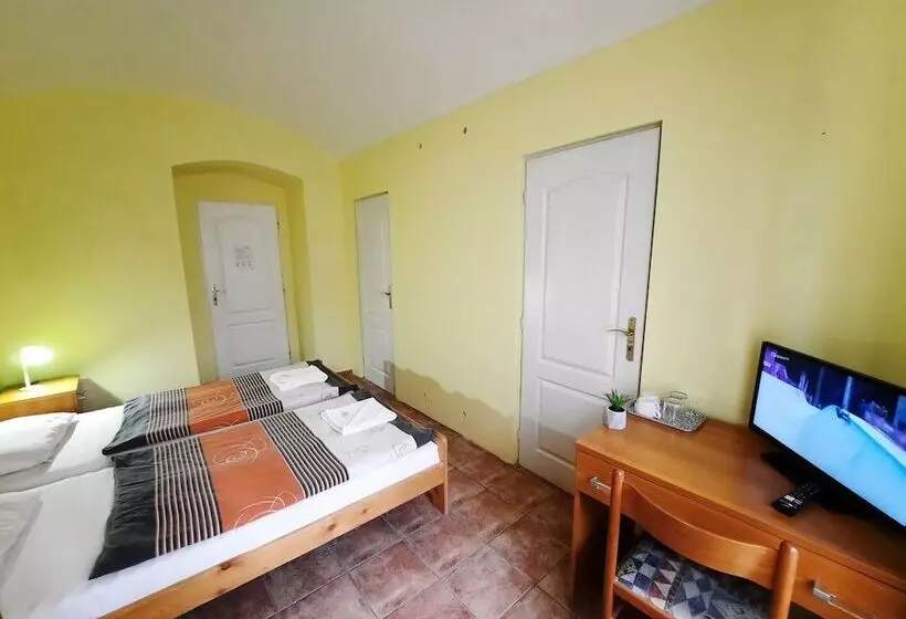 مسافرخانه Pension City Center