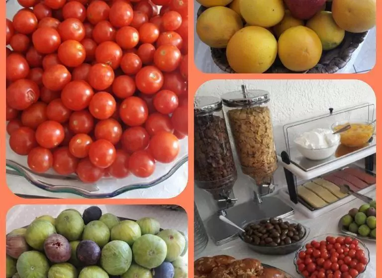 בית מלון כפרי Effie