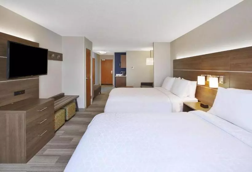 Holiday Inn Express Hotel & Suites Auburn Hills, An Ihg