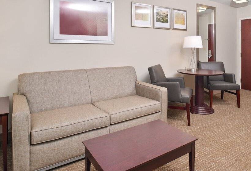 Holiday Inn Express Hotel & Suites Lafayette, An Ihg