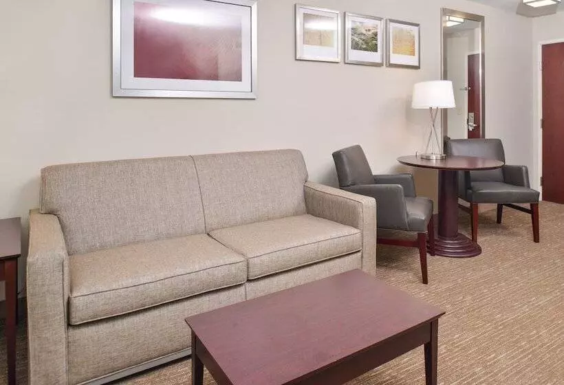 Holiday Inn Express Hotel & Suites Lafayette, An Ihg