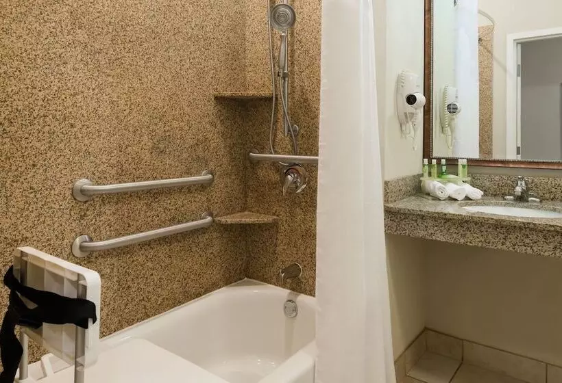 Holiday Inn Express Hotel & Suites New Iberia   Avery Island, An Ihg