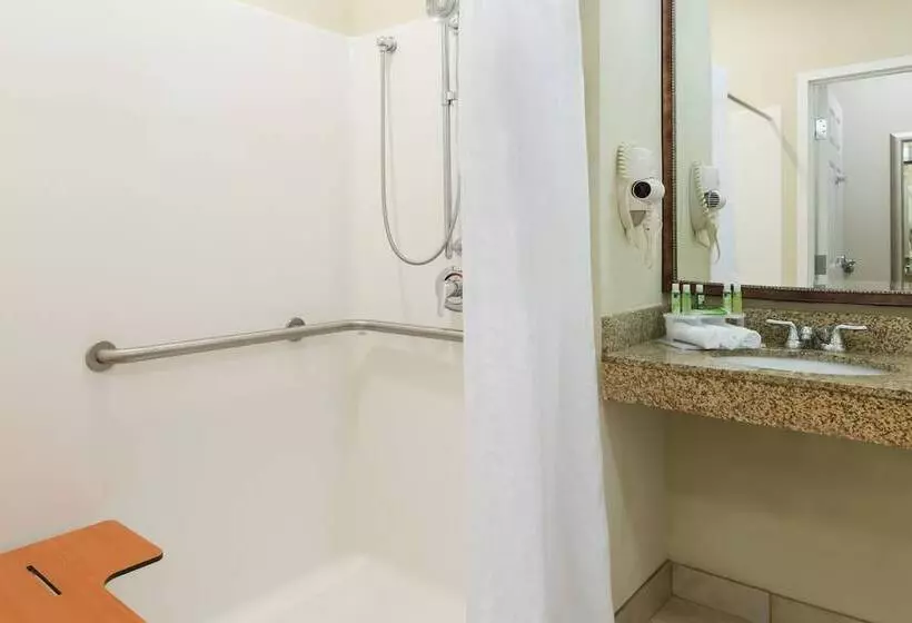 Holiday Inn Express Hotel & Suites New Iberia   Avery Island, An Ihg