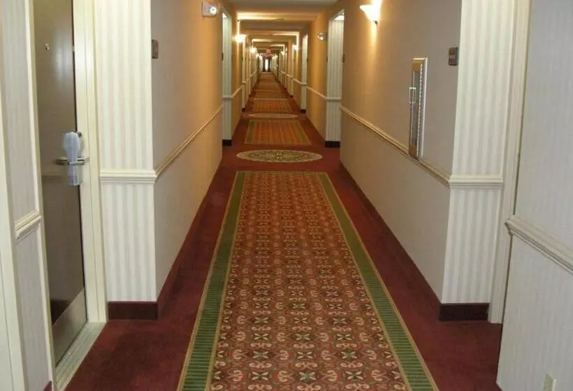 Holiday Inn Express Hotel & Suites Corinth By Ihg