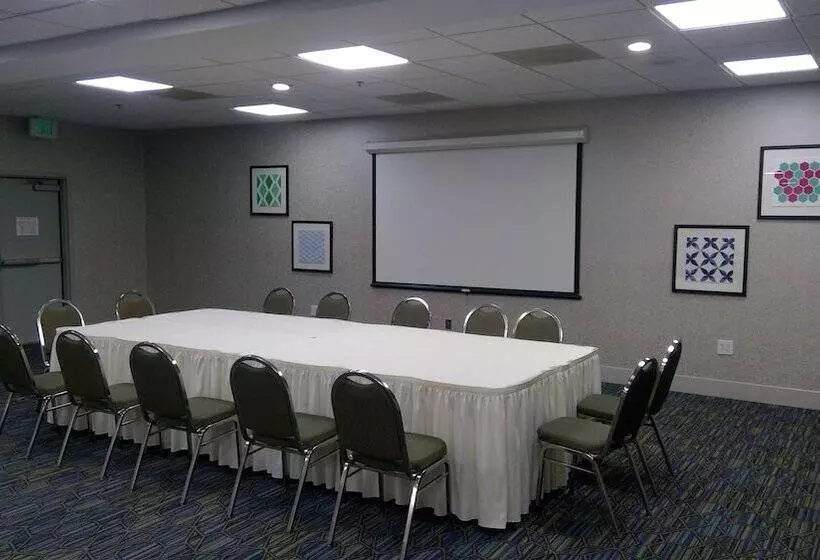 酒店 Holiday Inn Express & Suites Tracy, An Ihg