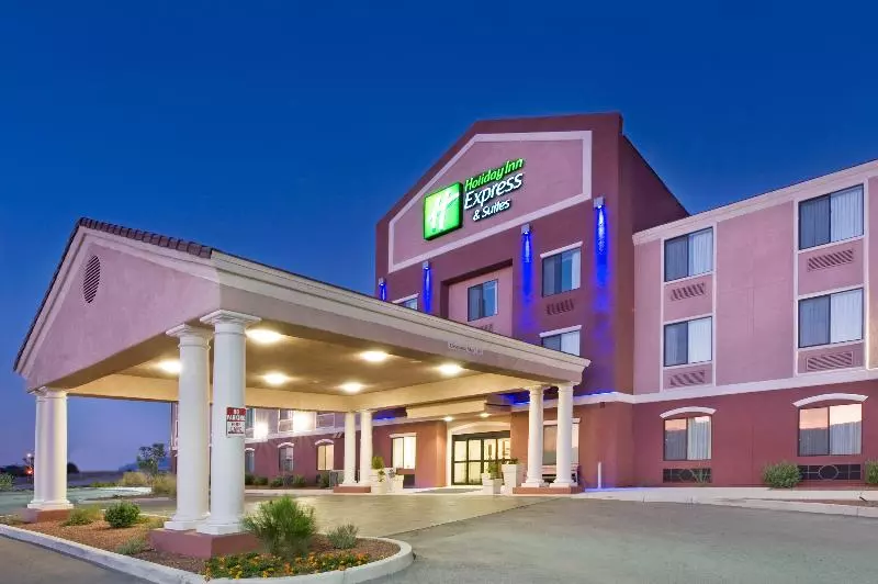 فندق Holiday Inn Express & Suites Willcox By Ihg