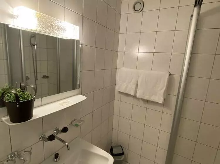 Отель Lodge Inn