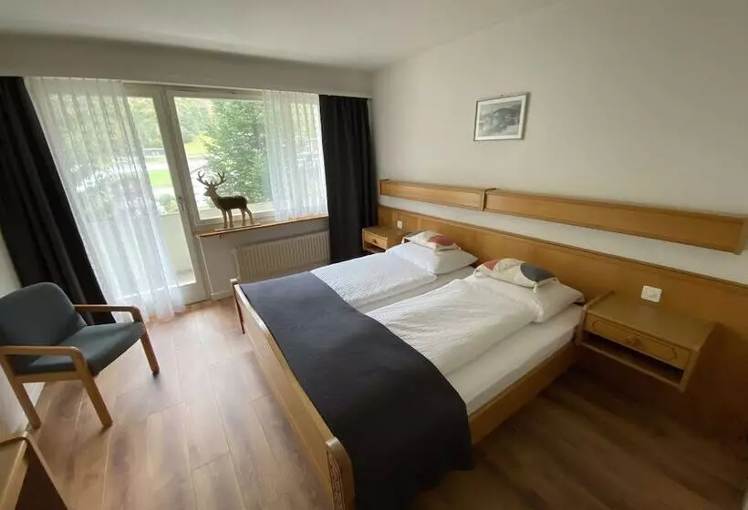 Отель Lodge Inn