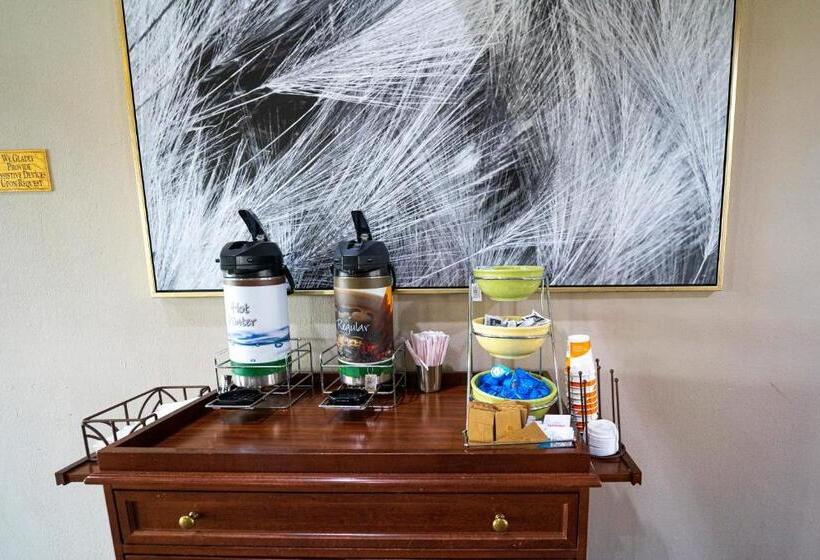 فندق Quality Inn & Suites