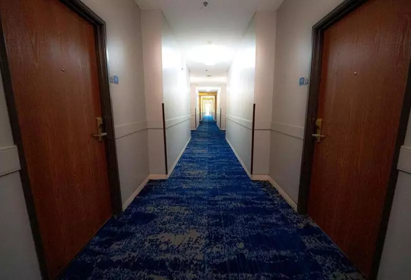 酒店 Quality Inn & Suites