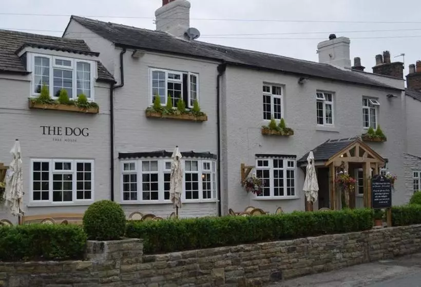 פונדק The Dog In Over Peover