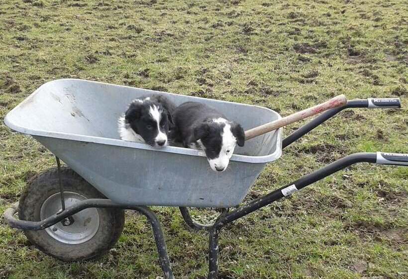 膳宿费 Landgasthof Gut Marienbildchen