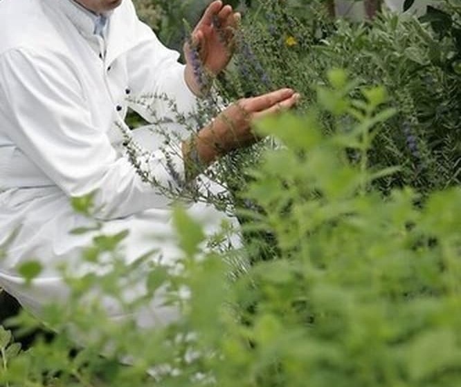 膳宿费 Landgasthof Gut Marienbildchen