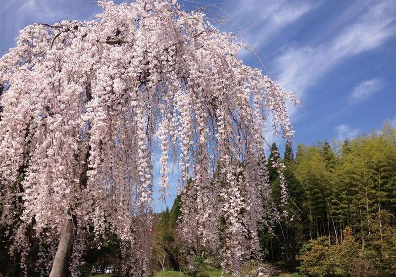 בית מלון כפרי Hiroshima Airport