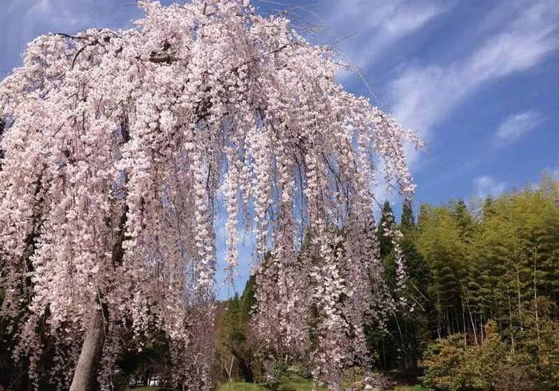 Hotel Hiroshima Airport