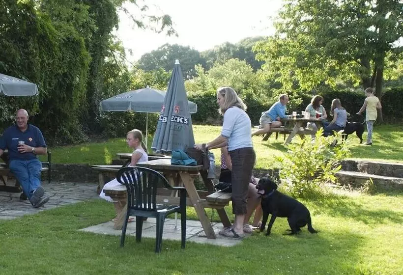 酒店 The White Lion Inn