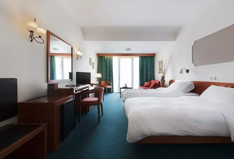 Отель Z Palace & Congress Center