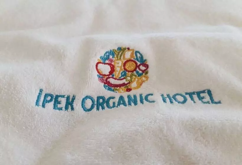 酒店 La Boutique Ipek