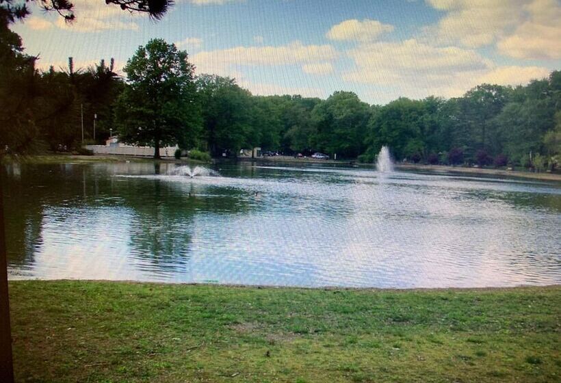 호텔 Red Carpet Inn Elmwood