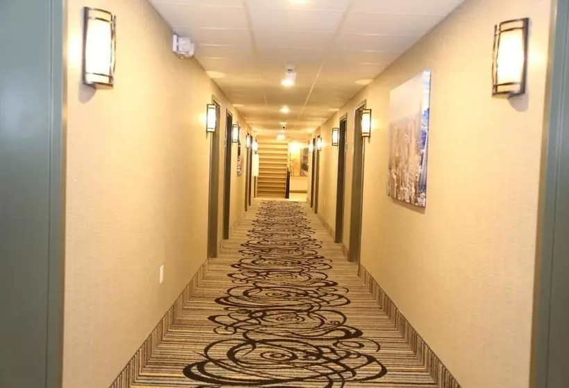 酒店 Red Carpet Inn Elmwood