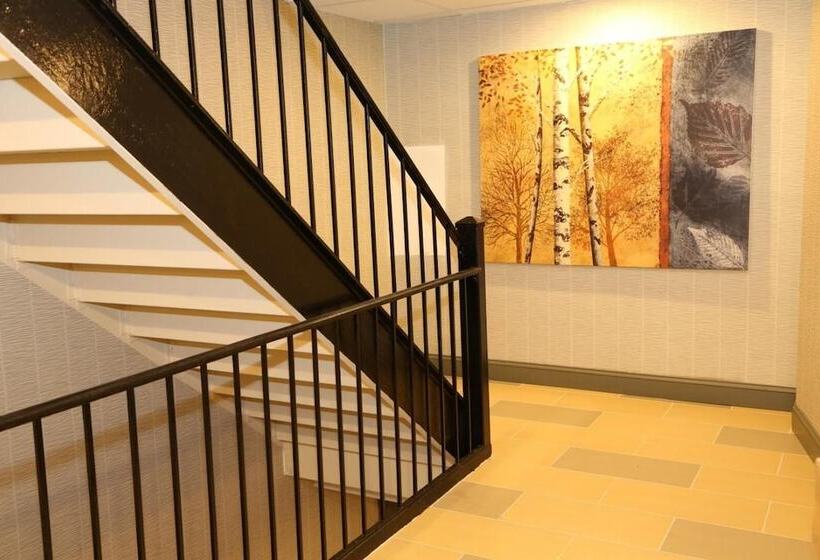 호텔 Red Carpet Inn Elmwood