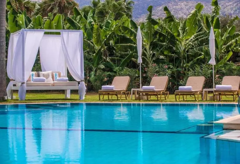 Vergina Studios & Apartments