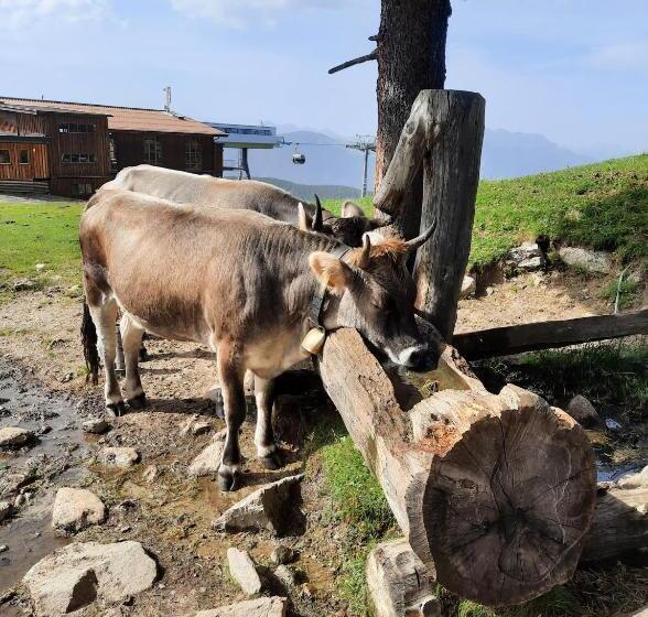 مبيت وإفطار Haus Gertraud