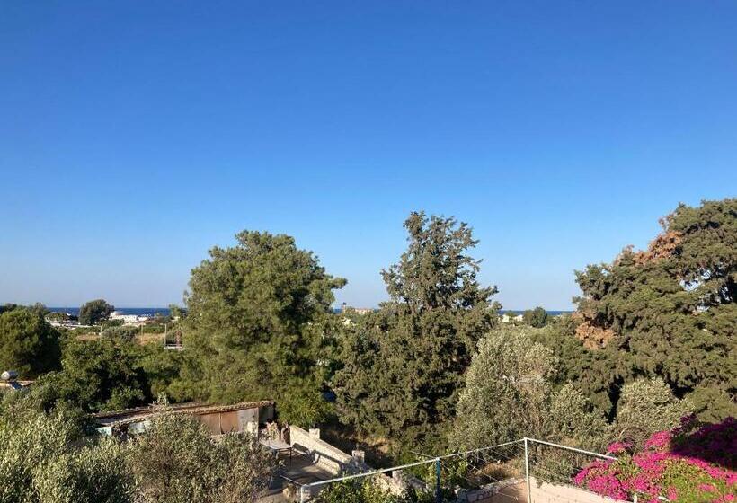 Cannon Studios & Rooms