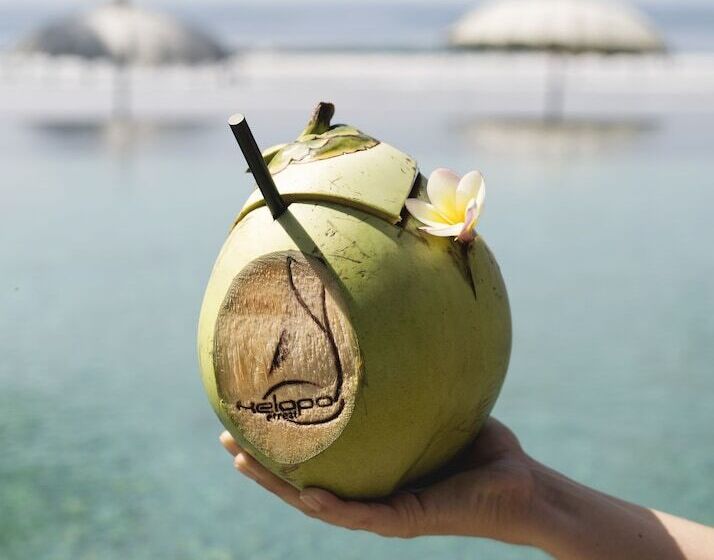 ホテル Kelapa Retreat & Spa